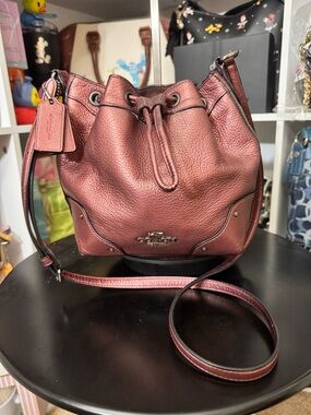 Coach Metallic Mickie Drawstring Bucket Bag